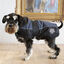 Outech Sport Abrigo Negro con Azul para perros, , large indicador imagen numero 3